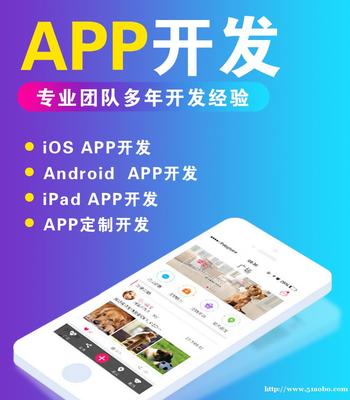 app程序开发多少钱